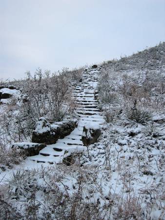 Coronado steps in the snow