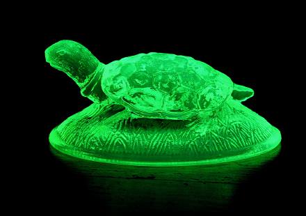 uranium glass turtle