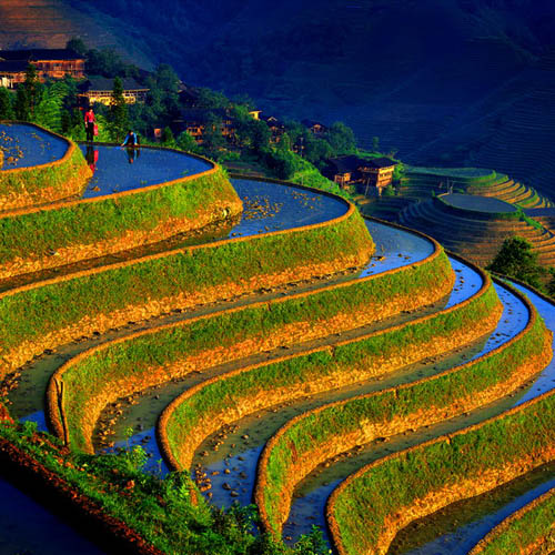 rural China