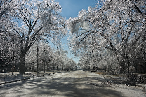 ice storm aftermath