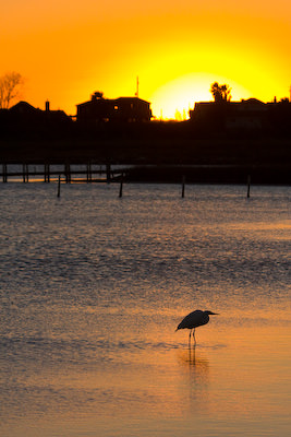 Galveston sunset