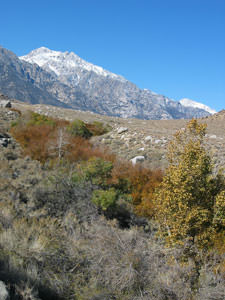 Sierra Fall 2003