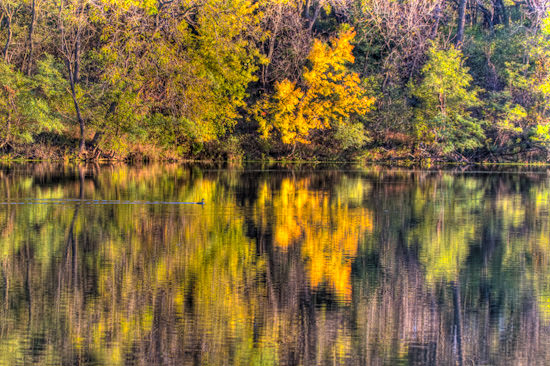 fall lake reflections