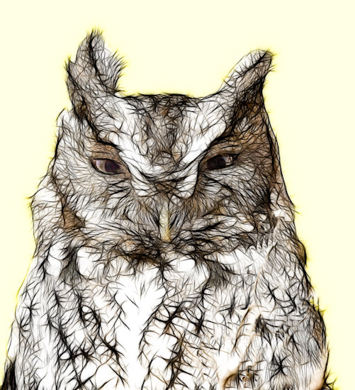 fractalius owl