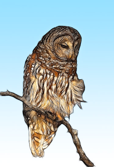 fractalius owl