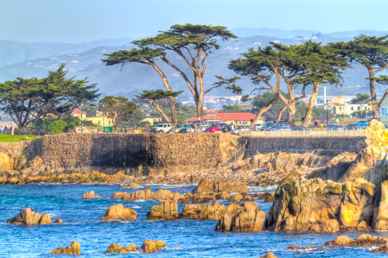 CA Trip 2010: Lovers Point, Pacific Grove