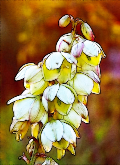 Fractalius Flowers