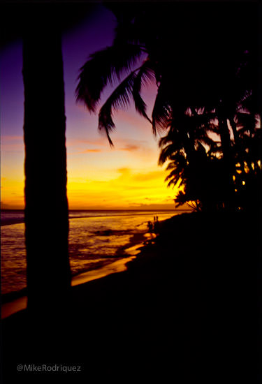 Maui sunset 1995