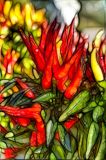 Colorful Peppers in Salina