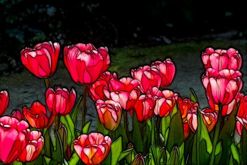 fractalius tulips