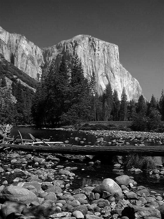 El Capitan, Yosemite Valley || Olympus D490Z/5.6mm (~40mm 35mm equiv) | 1/400s | f5.6 | ISO100 |handheld