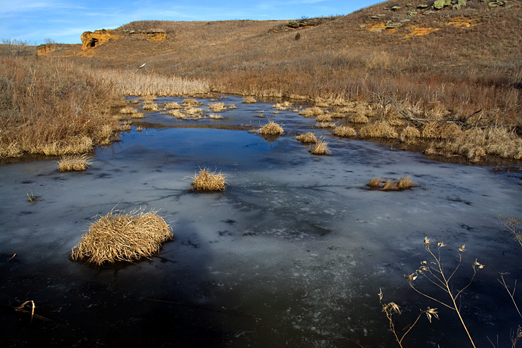 Frozen Marsh|| Canon350d/EF17-40/F4L@17| 1/200s | f8 | ISO200 |handheld