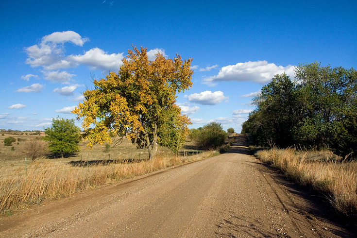 Kansas Fall Road || Canon350d/EF17-55/F2.8EFS@17 | 1/250s | f6.3 |  IS400 | handheld