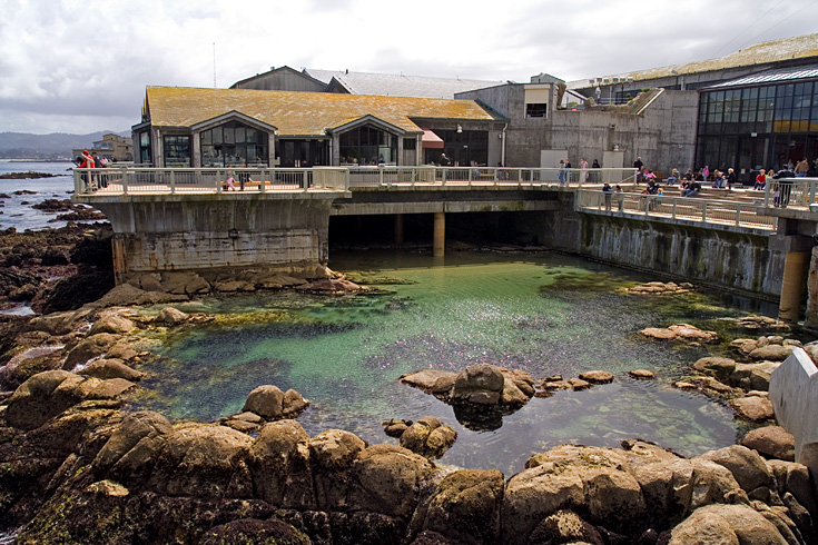 Monterey Bay Aquarium || Canon350d/EF17-40/F4L@17 | 1/500s | f8 | ISO200 | handheld
