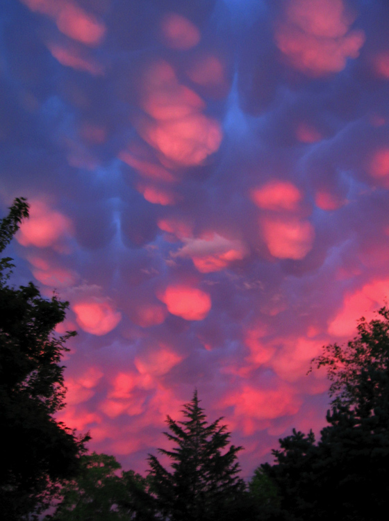 Pink Mammatus Clouds || Canon A520/5.8mm (36mm 35mm equiv) | 1/4s | f2.6 | ISOunk |handheld