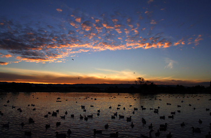 Duck Pond Sunset|| Canon350d/EF17-40/F4L@17| 1/200s | f14 | ISO400 |handheld