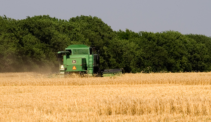 Kansas Wheat Harvest || Canon350d/EF70-200/F4L@200 | 1/500s | f7.1 | ISO100 | handheld